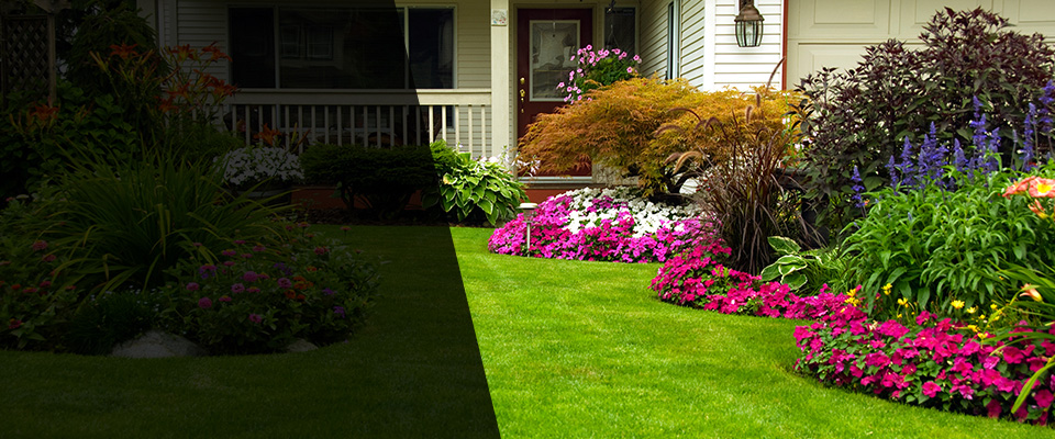 Boyd Landscapers